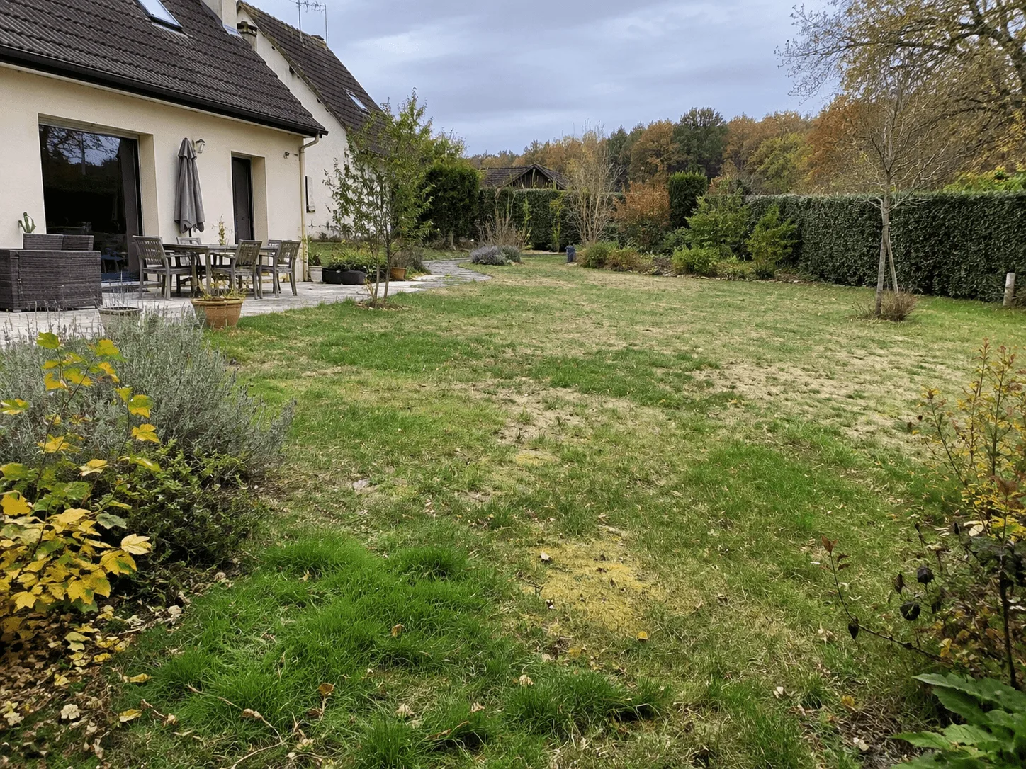 Rénovation complète d’une pelouse avant travaux